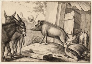 Pigs and Donkeys by Wenceslaus Hollar